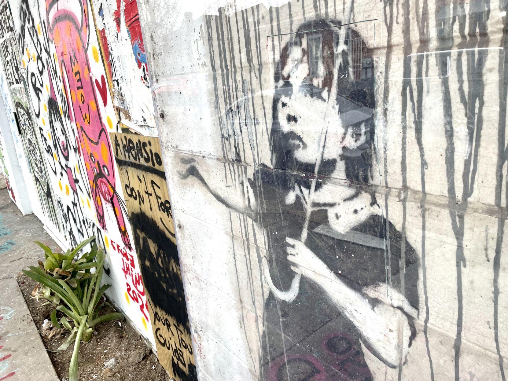 Owner of Banksy painting ‘committed to preservation and protection,’ attorney says